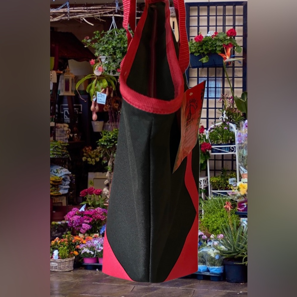 Trader Joe’s Reusable Insulated Bag (Extra Large Capacity- 7 Gallons) NWT - Picture 9 of 11
